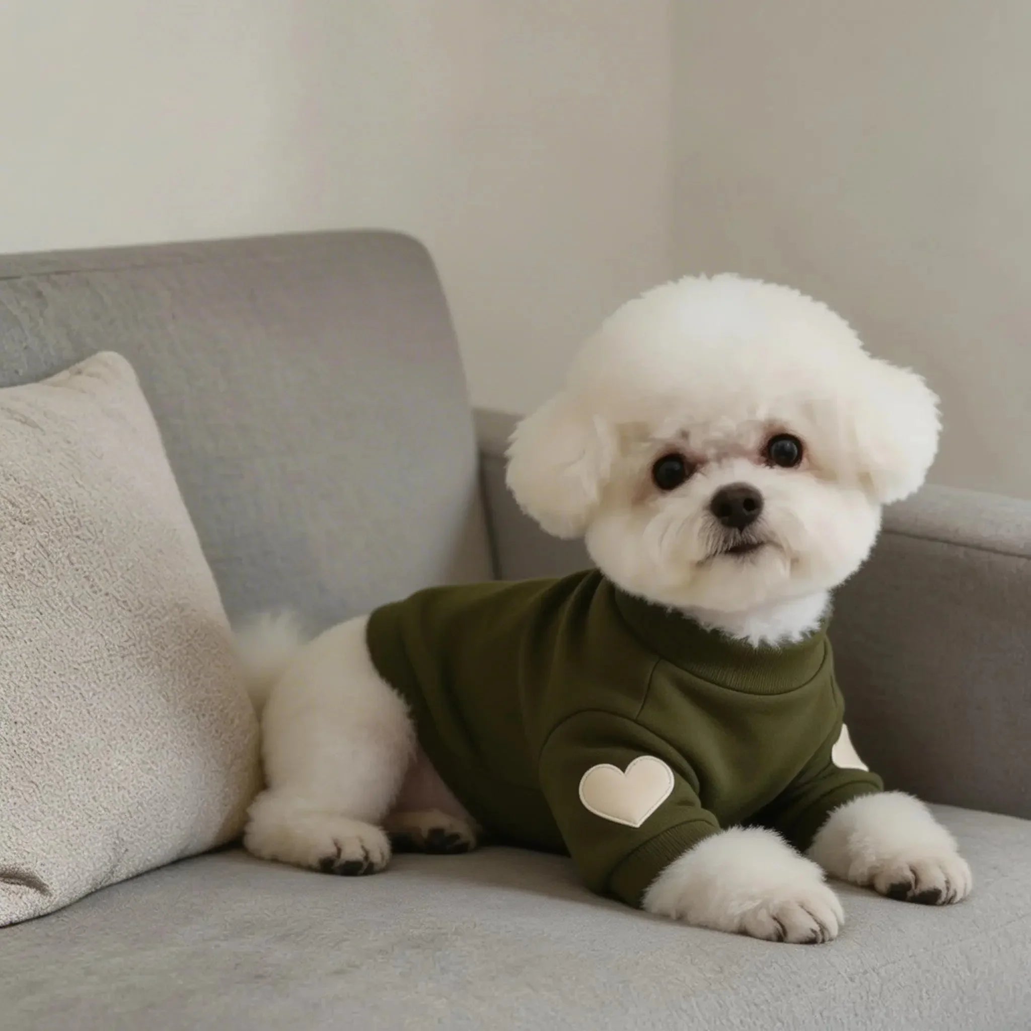 Small fluffy white dog in green sweater with heart patches, relaxing on a sofa.