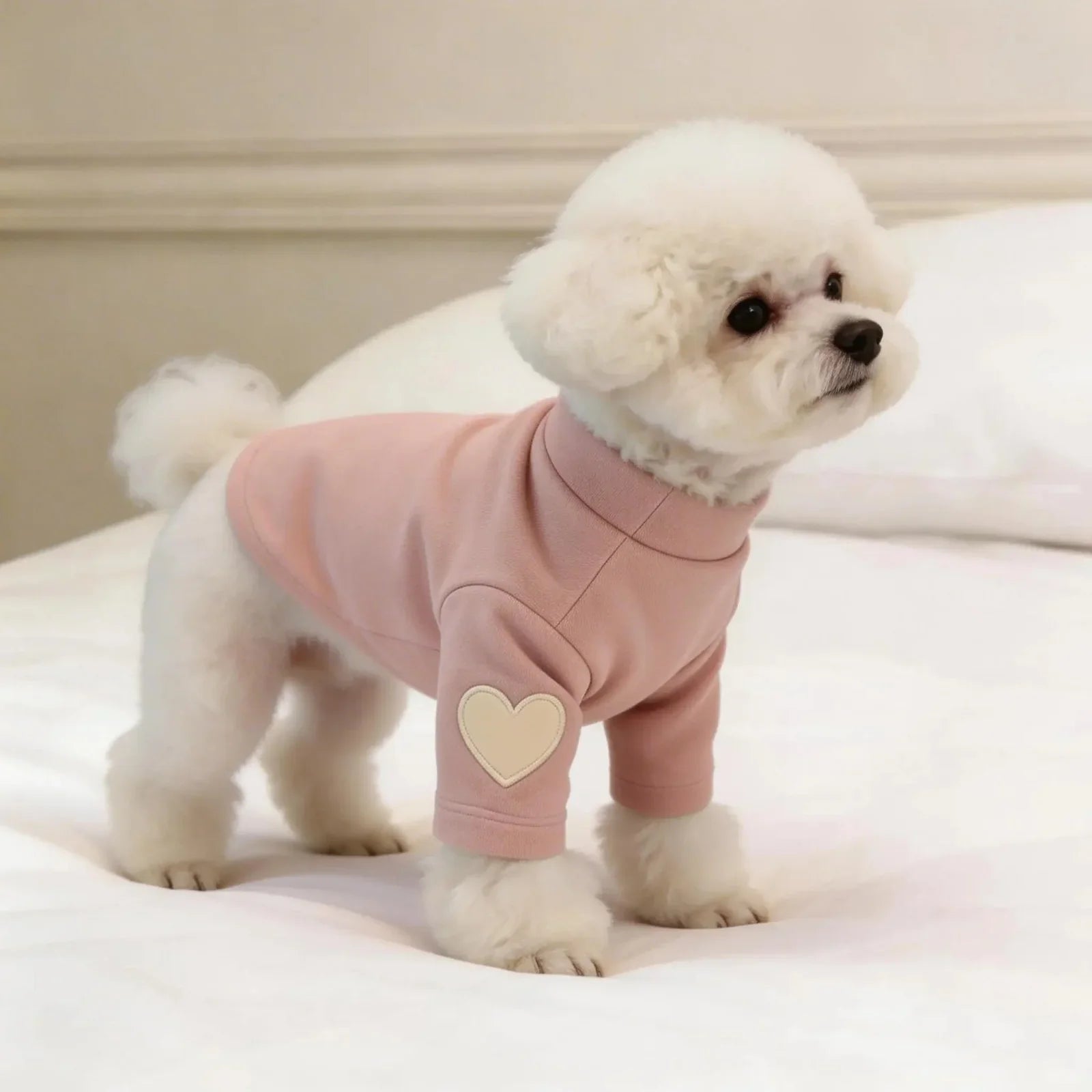 Small white dog in a pink sweater with heart patch, standing on a bed