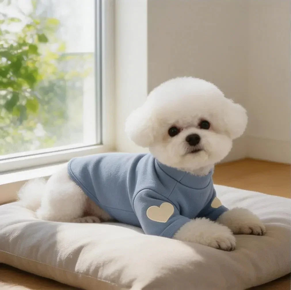 Small fluffy dog in blue sweater with heart patches, relaxing on cushion by window