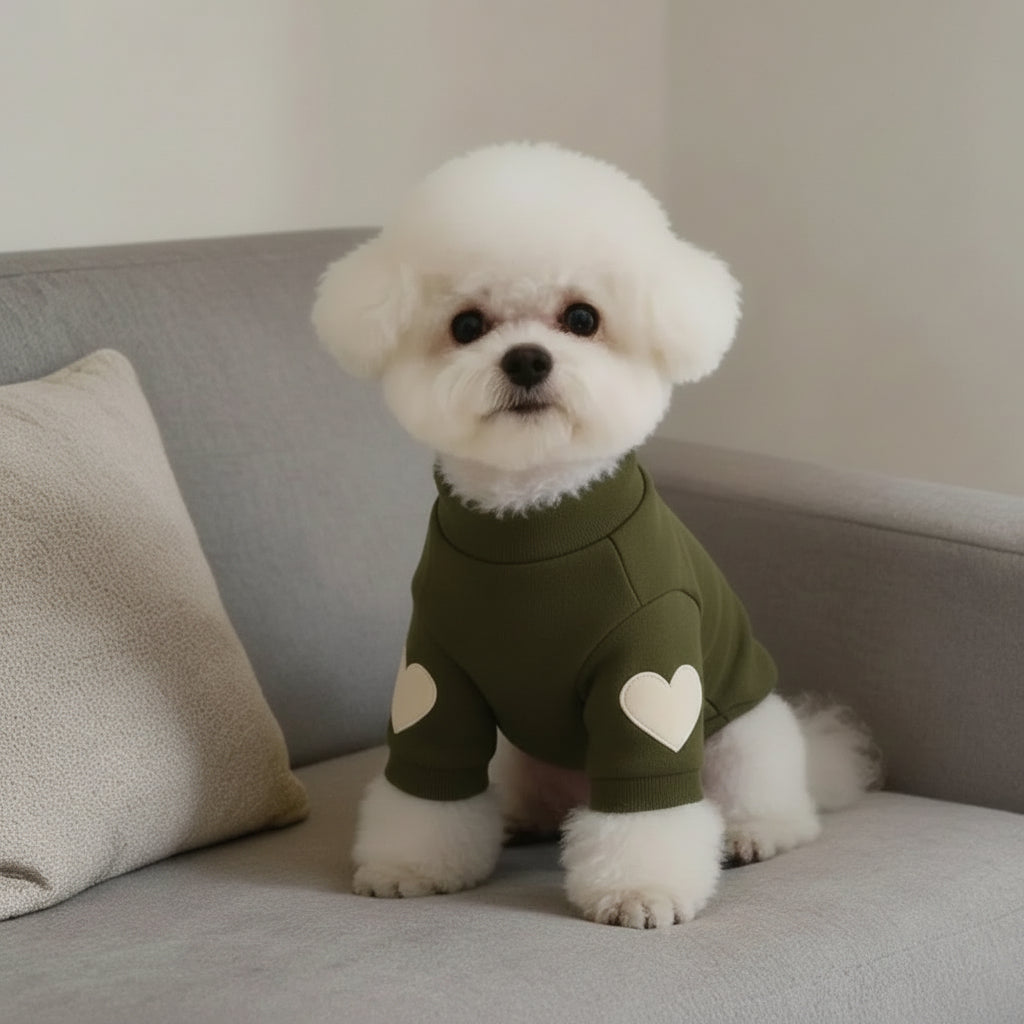 Small white dog in green pet sweater with heart patches sitting on a grey sofa